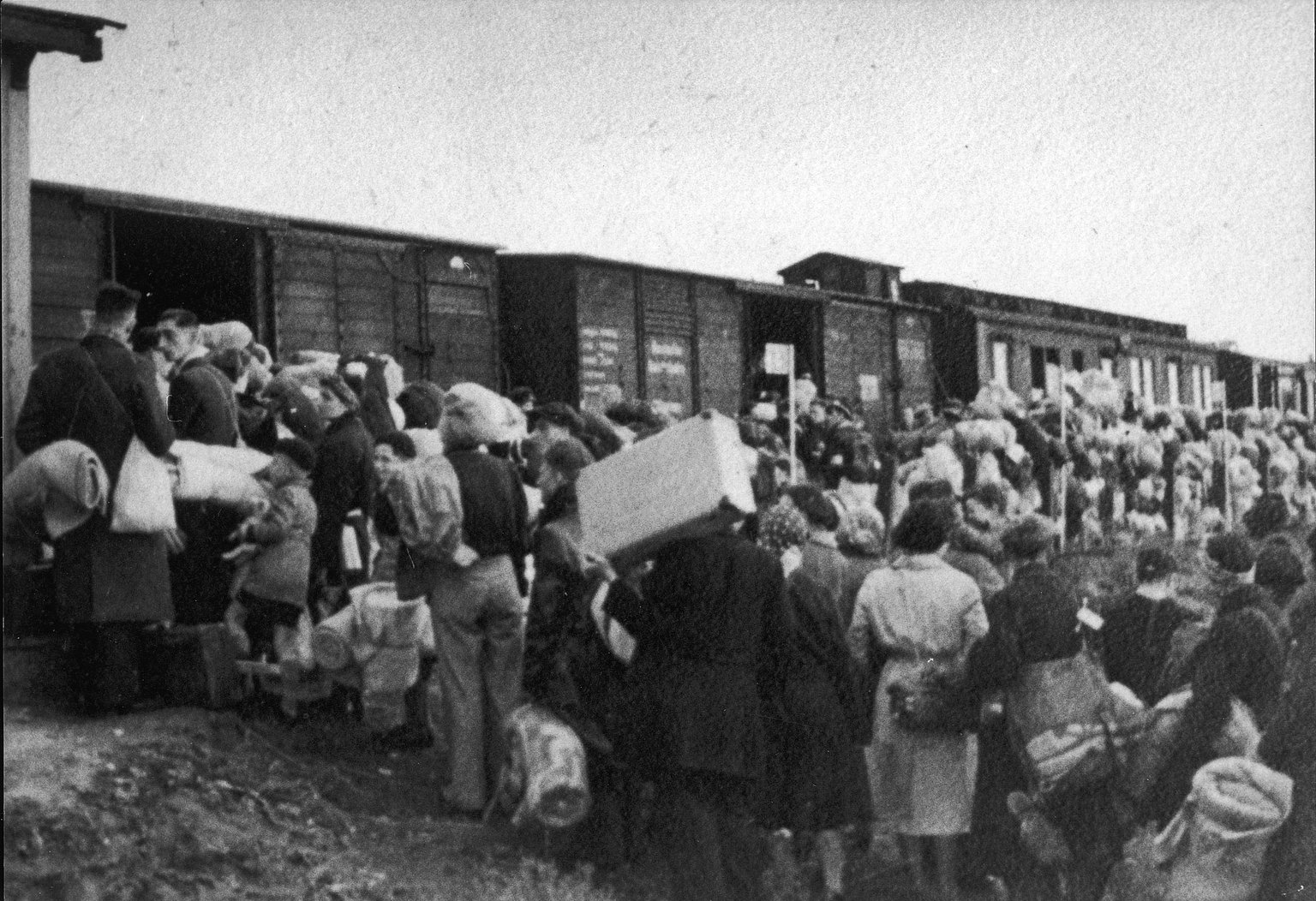 막대그래프. 제목은 17 Million Fell Victim to the Nazi Regime. 아래는 1942년 사망이 치솟는 붉은 곡선. statista 표시.